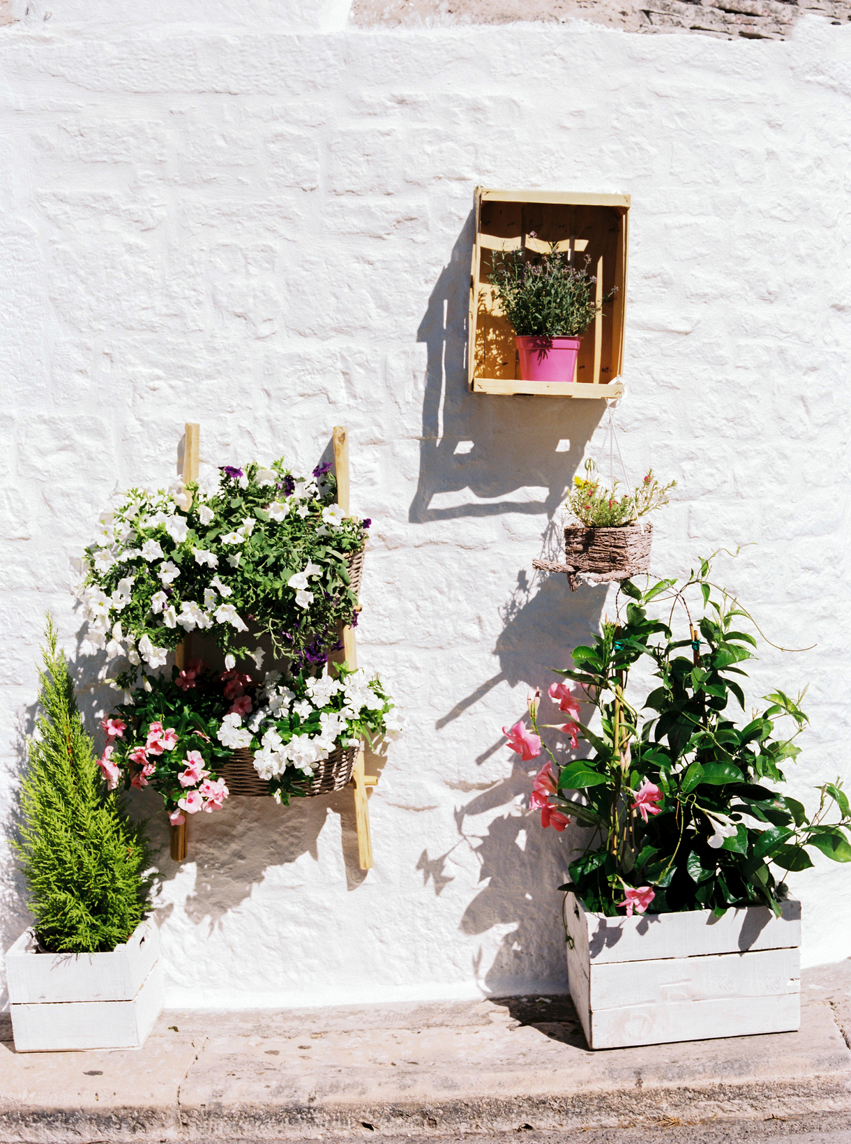 Flower Box on White Wall by Casa de Suna