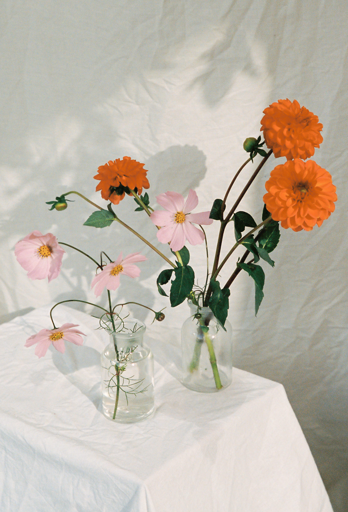 Sustainable flowers by Casa de Suna