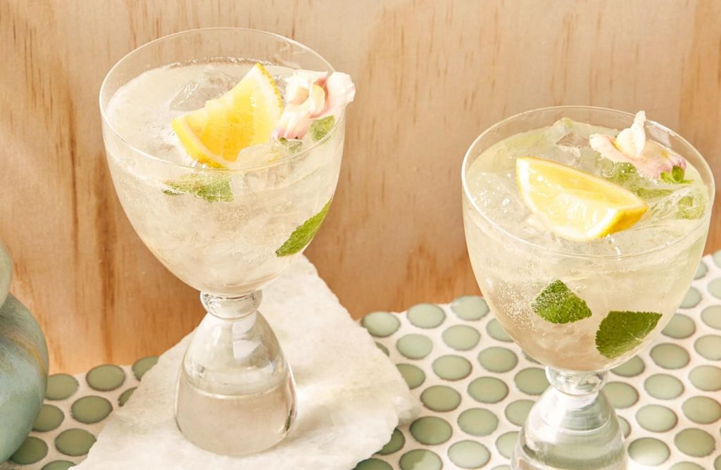 Elderflower Gin and Tonic