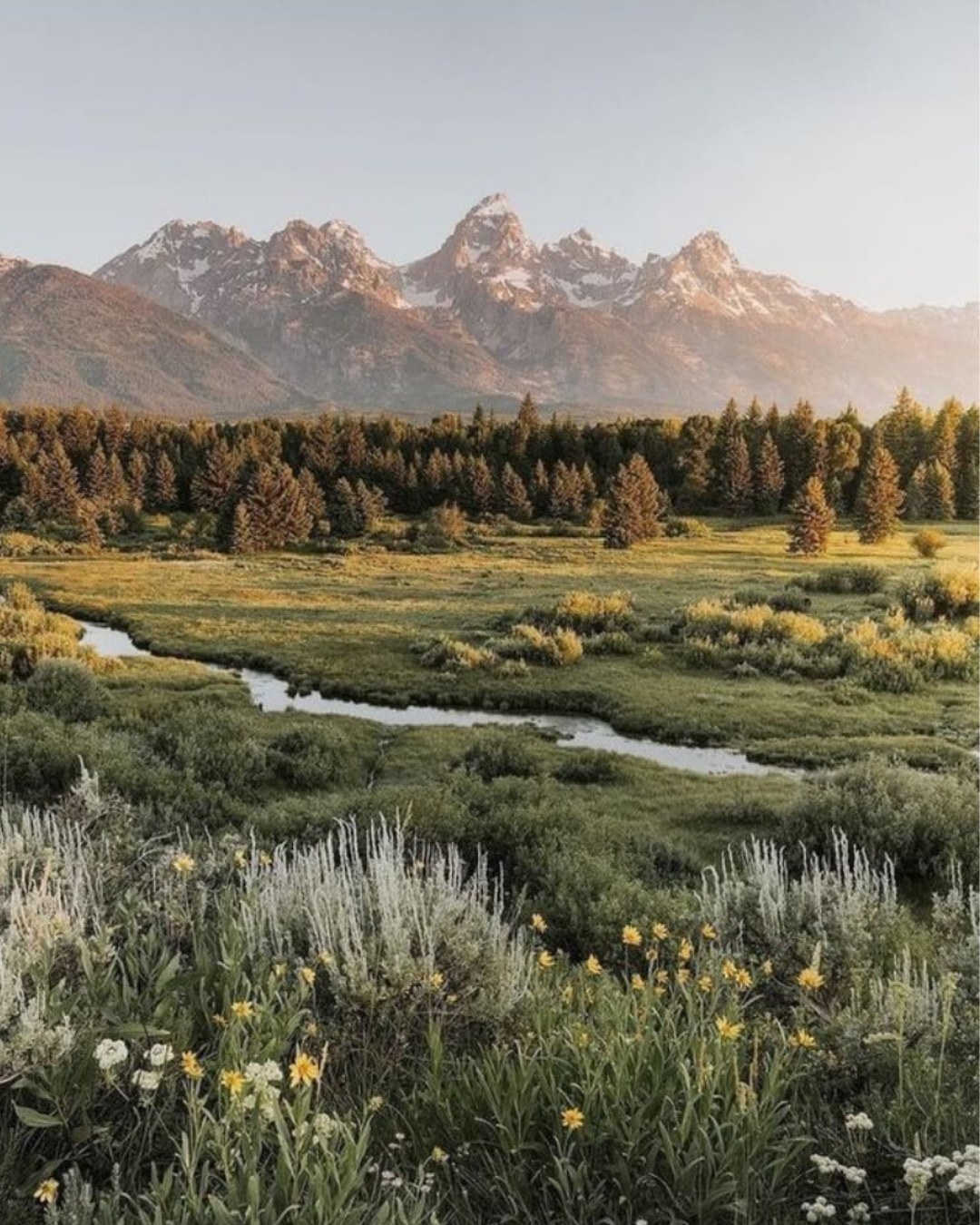 Jackson Hole Summer Destination