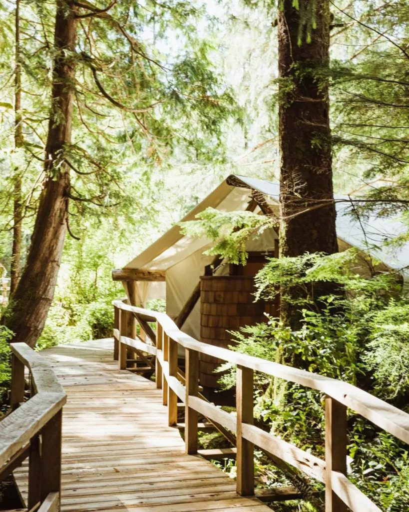 Travel Round-Up: Our Top Spots for Summer in Clayoquot Wilderness Lodge by Casa de Suna